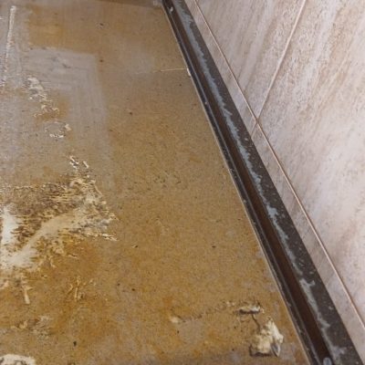 WhatsApp Image 2026-01-22 at 6.30.46 PM (1)