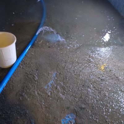 WhatsApp Image 2026-01-22 at 6.30.49 PM (2)